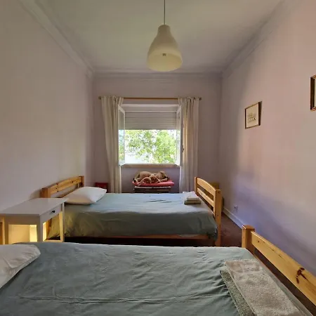 Apartamento Comfortable Flat At Sao Pedro Do Estoril